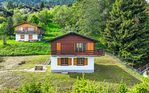 Hildegarde: Plante, Propriété, Fenêtre, Bâtiment, Vert, Maison, Arbre, Paysage Naturel, Lot Terre, Bois