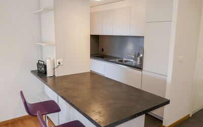 Logement:&nbsp;Bietschorn 33 650.3