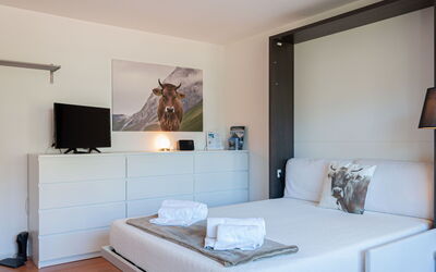Logement:&nbsp;Bouleaux K4 800.15