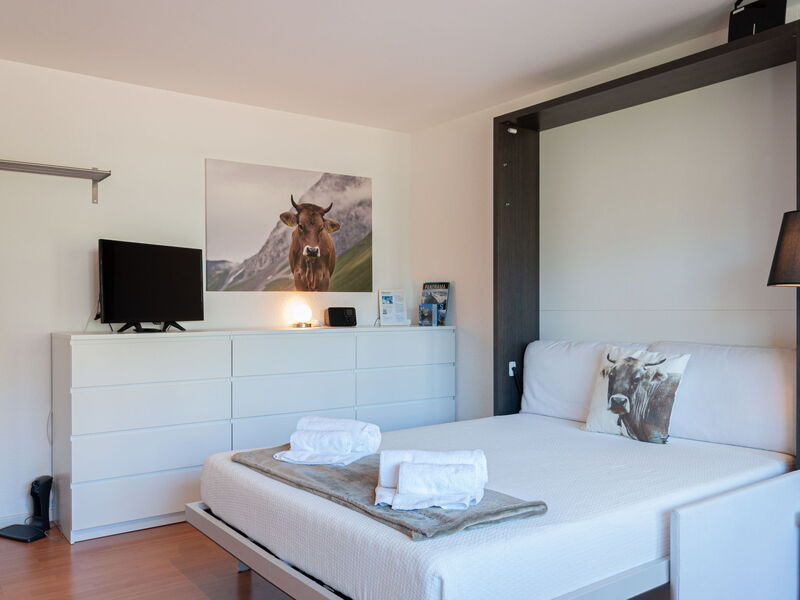 Logement:&nbsp;Bouleaux K4 800.15