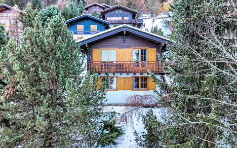 Magicien: Bâtiment, Fenêtre, Plante, Neige, Maison, Mélèze, Arbre, Brindille, À Feuilles Persistantes, Pente