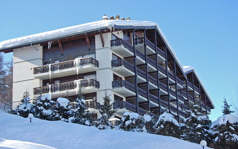 Nendaz 150: Ciel, Bâtiment, Fenêtre, Neige, Arbre, Design Urbain, Maison, Condominium, Pente, Gelé