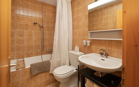 Nendaz 160: Lavabo, Luminaire Plomberie, Sol, Design Intérieur, Salle De Bains, Évier, Mur, Sol, Robinet, Pièce