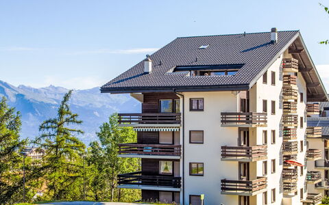 Nendaz 160: Ciel, Bâtiment, Fenêtre, Maison, Plante, Bois, Pente, Montagne, Arbre, Zone Résidentielle