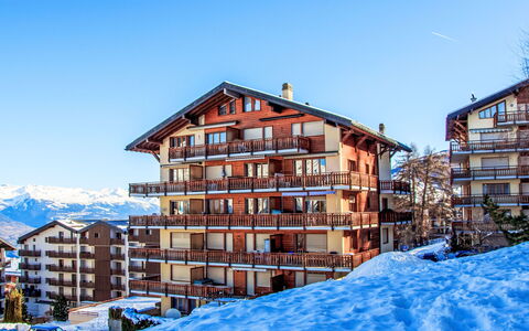 Nendaz 831: Appartement, Neige, L'Hiver, Domicile, Gelé, Condominium, Pente, Glacial Relief, Balcon, Alpes
