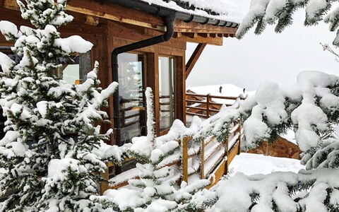 Sebas: Neige, Propriété, Plante, Bâtiment, Botanique, Arbre, Branche, Brindille, Bois, Architecture