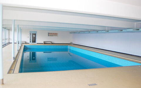 Nendaz 730: Piscine, Propriété, Architecture, Pièce, Loisir, Bâtiment, Maison, Ciel, Immobilier, Centre De Loisirs