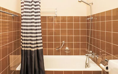 Rosablanche C53 100.47: Marron, Luminaire Plomberie, Baignoire, Salle De Bains, Robinet, Violet, Tige De Douche, Tete De Douche, Design Intérieur, Bâtiment