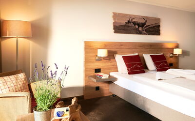 Logement:&nbsp;Standard, Dorint Blümlisalp 100.1