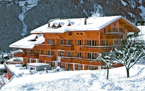 Grindelwald 100: Bâtiment, Neige, Propriété, Fenêtre, Maison, Pente, Architecture, Chalet, Gelé, Arbre