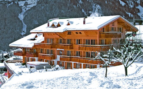 Grindelwald 100: Bâtiment, Neige, Fenêtre, Pente, Maison, Gelé, Architecture, Arbre, Plante, Chalet
