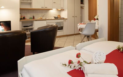 Logement:&nbsp;Chalet Abendrot Apartments 100.5