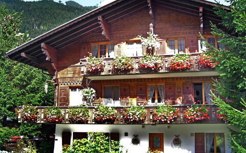 Grindelwald 121: Bâtiment, Fenêtre, Plante, Propriété, Ciel, Arbre, Maison, Chalet, Zone Résidentielle