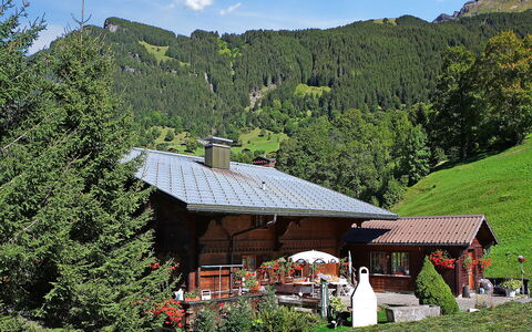 Grindelwald 121: Plante, Nuage, Ciel, Propriété, Communauté Des Plantes, Écorégion, Montagne, La Nature, Paysage Naturel, Maison