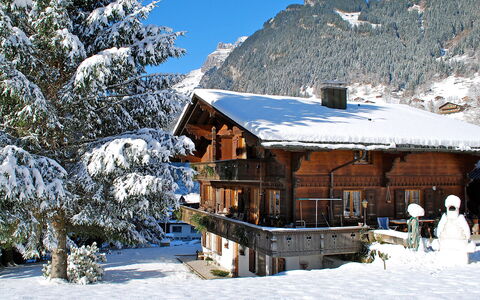 Grindelwald 121: Neige, Ciel, Montagne, Arbre, Pente, Paysage Naturel, Plante, Maison, Bâtiment