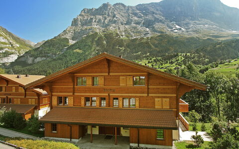 Grindelwald 106: Montagne, Ciel, Plante, Bâtiment, Propriété, Fenêtre, Maison, Paysage Naturel, Bois, Lot Terre