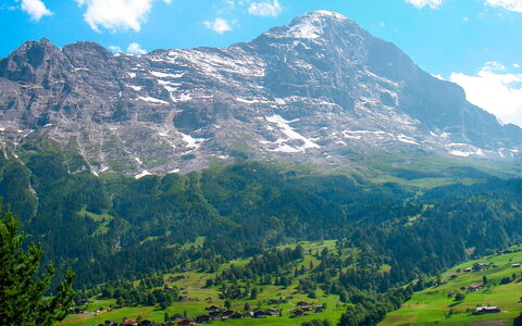 Grindelwald 106