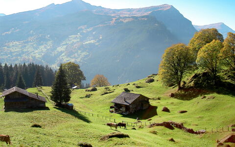 Grindelwald 106
