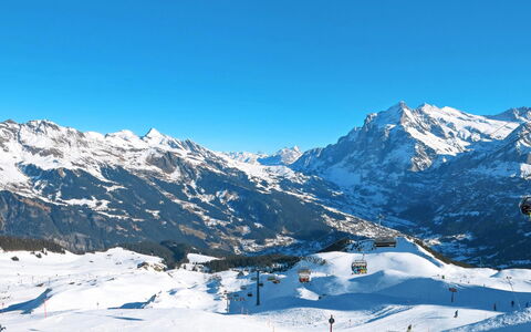 Grindelwald 106