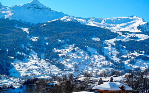 Grindelwald 106