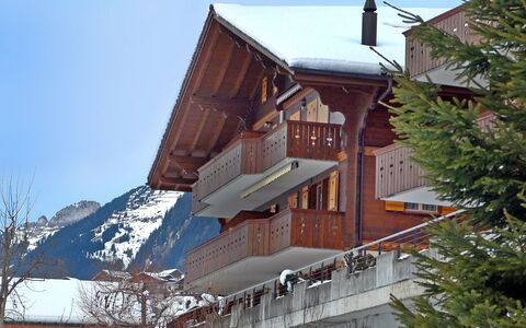 Chalet Perle: Ciel, Bâtiment, Fenêtre, Neige, Arbre, Bois, Maison, Pente, Toit, Zone Résidentielle