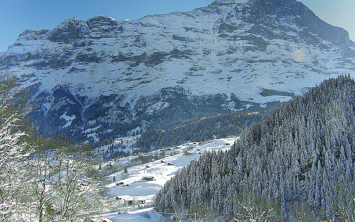 Logement:&nbsp;Chalet auf Dem Vogelstein 145.1
