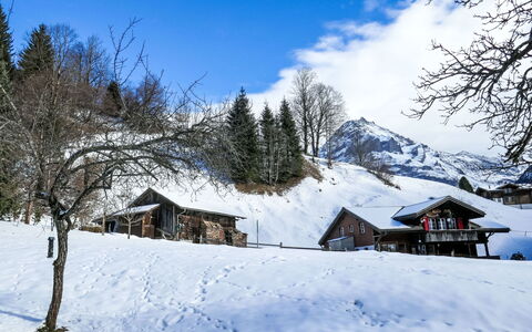 Grindelwald 150: Neige, L'Hiver, Montagnes Relief, Maison, Montagne, Chaîne De Montagnes, Chalet, Glacial Relief, Domicile, Paysage