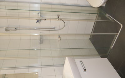 Schwendihus 150.1: Salle De Bains, Douche, Rectangle, Matériel De La Propriété, Luminaire Plomberie, Composite, Sol, Plomberie