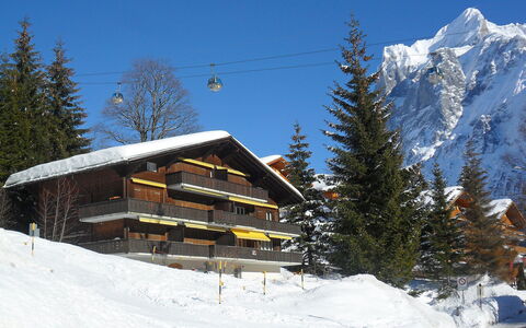 Chalet Bodmisunne: Ciel, Neige, Propriété, Bâtiment, Montagne, Arbre, Maison, Pente, Mélèze, Gelé