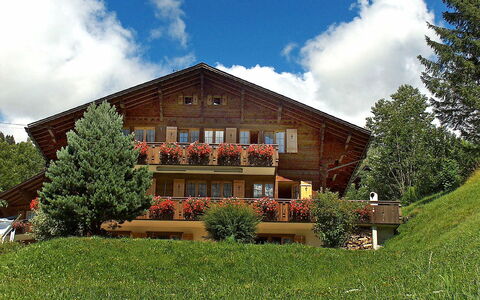 Chalet Doris: Nuage, Plante, Ciel, Bâtiment, Arbre, Fenêtre, Paysage Naturel, Lot Terre, Maison, Herbe