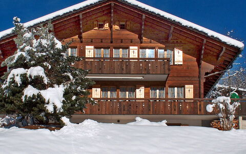 Chalet Doris: Bâtiment, Neige, Fenêtre, Plante, Ciel, Bois, Arbre, Pente, Maison, Chalet