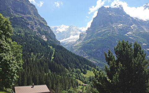 Chalet Doris: Nuage, Ciel, Montagne, Plante, Écorégion, Paysage Naturel, Arbre, Mélèze, Montagnes, Pente