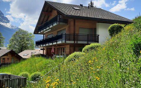 Steinbilla: Nuage, Plante, Ciel, Fleur, Bâtiment, Fenêtre, Paysage Naturel, Arbre, Maison, Lot Terre