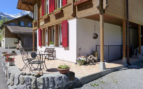 Rösli: Plante, Bâtiment, Fenêtre, Pot De Fleur, Ombre, Surface De La Route, Plante D'Appartement, Quartier, Mur, Zone Résidentielle