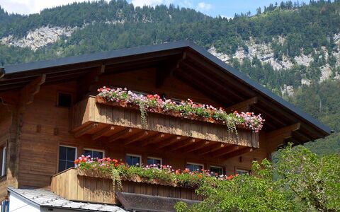 Oltschiblick: Fleur, Ciel, Nuage, Plante, Bâtiment, Fenêtre, Montagne, Maison, Arbre, Bois
