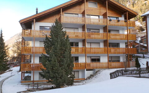 Select: Ciel, Neige, Propriété, Bâtiment, Plante, Fenêtre, Arbre, Mélèze, Pente, Bois