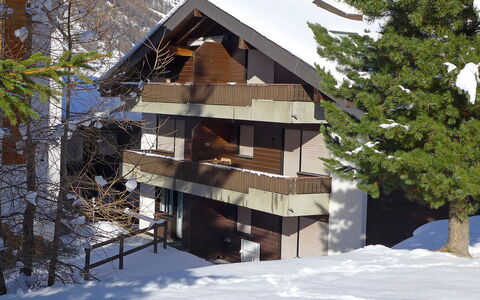 Luchre: Neige, Bâtiment, Arbre, Ciel, Bois, Plante, Pente, Mélèze, Chalet, Maison