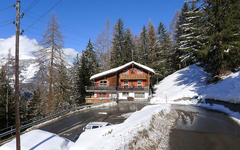 Lärchenheim: Neige, L'Hiver, Montagne, Montagnes Relief, Arbre, Propriété, Gelé, Géologique Phénomène, Ciel, Chaîne De Montagnes