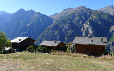 Rietsli