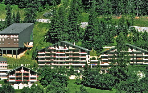 Leukerbad 900: Bâtiment, Plante, Paysage Naturel, La Nature, Botanique, Environnement Naturel, Arbre, Lot Terre, Pente, Végétation
