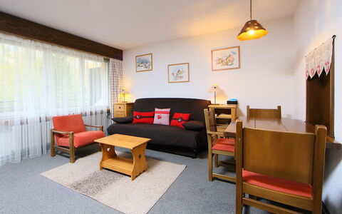Logement:&nbsp;Ringstrasse Apt 115 900.2