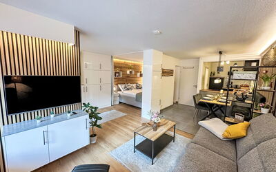 Ringstrasse Apt 113 900.64: Meubles, Design Intérieur, Sol, Canapé, Sol, Pièce, Plafond, Salon, Télévision, Appartement