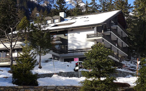 Crans-Montana 120: Neige, Propriété, L'Hiver, Maison, Montagne, Arbre, Toit, Domicile, Architecture, Station De Montagne