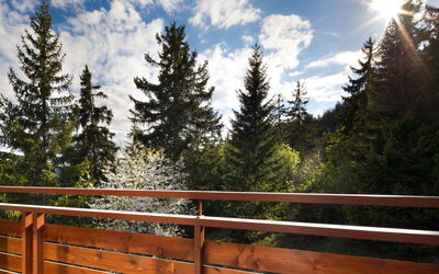 Logement:&nbsp;Tsaumiau A22 120.7