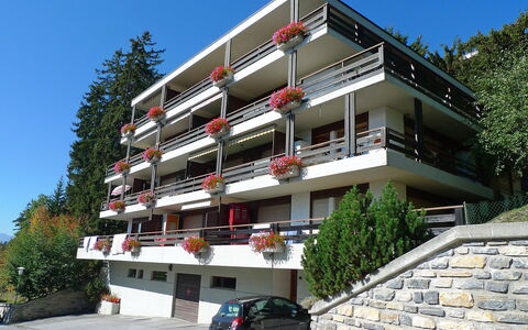 Yuca B Apt. 28: Ciel, Bâtiment, Plante, Voiture, Propriété, Roue, Fenêtre, Arbre, Véhicule