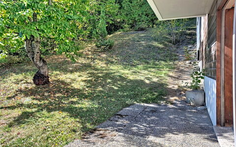 Yuca B Apt. 28: Herbe, Vert, Arbuste, Jardin, Couverture De Sol, Pelouse, Passerelle, Arrière-Cour