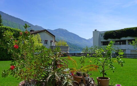 Weggis 7: Plante, Ciel, Fenêtre, Bâtiment, Fleur, Feuille, Montagne, Nuage, Pot De Fleur, Végétation