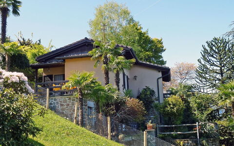 San Nazzaro 5: Plante, Ciel, Bâtiment, Propriété, Fenêtre, Arbre, Lot Terre, Maison, Végétation, Chalet