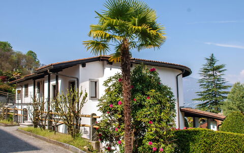 Piazzogna 100: Ciel, Plante, Bâtiment, Propriété, Fenêtre, Arbre, Maison, Arecales, Fleur, Mur
