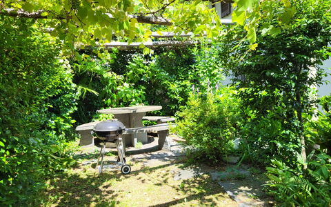 Stellina del Sole: Arbuste, Meubles, Table, Communauté Des Plantes, Jardin, Tableau De Plein Air, Mobilier De Jardin, Ombre, Printemps, Chaise